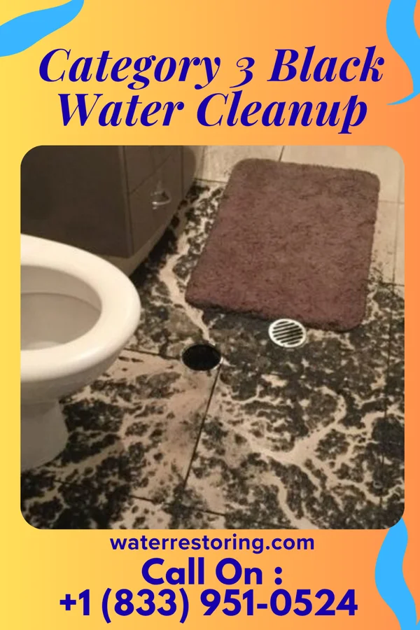 Category 3 Black Water Cleanup in Klamath Falls, OR
